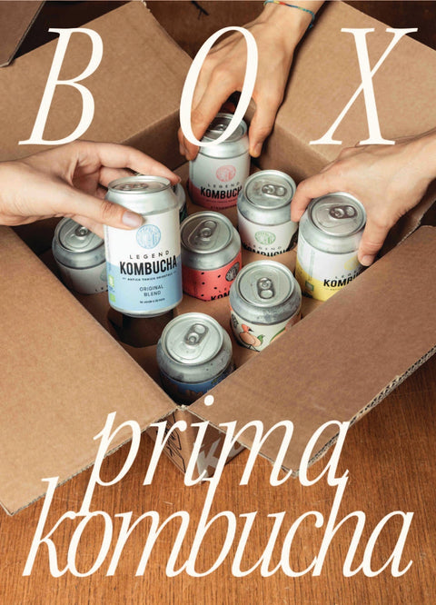 Box Prima Kombucha